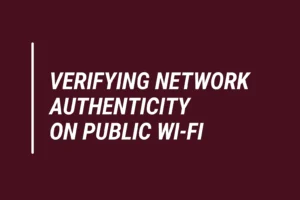 Verifying Network Authenticity